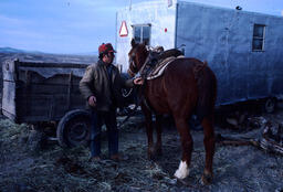 Sheepherder, horse, vehicles and trailers on open range.