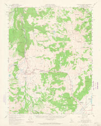 Fales Hot Springs Quadrangle California-Nevada 15 Minute Series (Topographic)