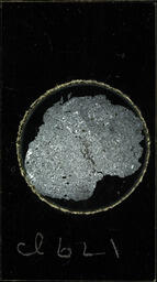 Dacite, thin slice (polarized)