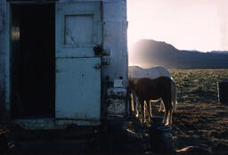 Sheepherder wagon