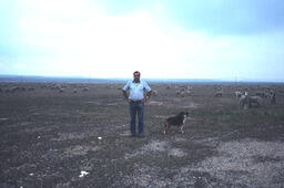 Sheepherder and dog at open range