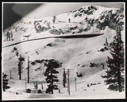 Wind upheaval at Donner Summit, copy 1