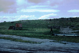 Sheepherder walking around farm