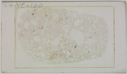 Thin section 54NC100, altered Jarbidge rhyolite