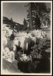 Feathered snow and icicle formations on riverbank