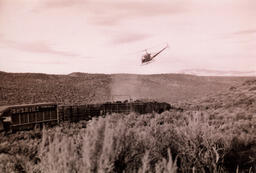 Photograph of BLM livestock round up, Dann Ranch, February 11, 2003