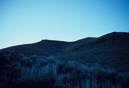 Sheep on a Mountainside