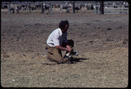 Sheepherder with lamb