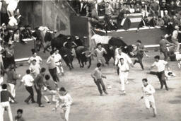 Soka-muturra (bull-herding)