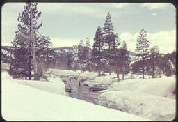 Parking lot in Squaw Valley 