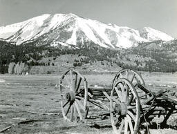 Slide Mountain and old wagon