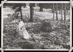 Towel, branch, and gravel on snow, copy 4