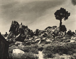 Washoe Valley rocks