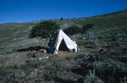 Sheepherder's tent on hillside