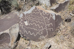 Petroglyphs on rocks at Lagomarsino Canyon