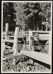 Wooden dock at Lake Tahoe