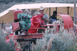 Sheepherder with wool bag and wool baling machine