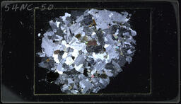 Thin section 54NC50, biotite granodiorite (polarized)