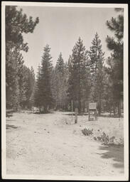 Thermometer and precipitation gauge, Lake Tahoe