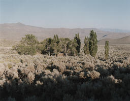 Eye shadows, abandoned settlement within Tipperary mine site, New York Canyon. Black Rock Desert