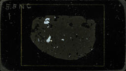 Thin section 55NC1, vitrophyre (polarized)