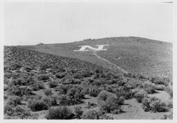 University of Nevada 'N' on Peavine Mountain, 1921