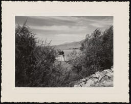 Equipment at Rye Patch Reservoir obscured by trees, copy 6