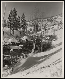 Truckee River below quarantine station