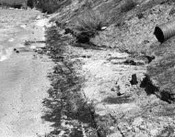 Shoreline debris, El Dorado County Campground Beach