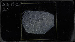 Thin section 55NC25 (polarized)