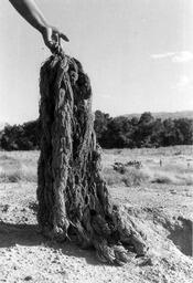 Rabbit net, made by Captain Wasson of Walker Lake