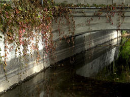 Orr Ditch and Tram, 2003