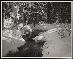 Upper Truckee River, foot of Meyers Grade on highway 50, copy 2