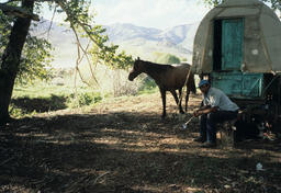 Rancher and Horse on a Mountainside