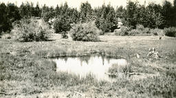 Small Pool associated with "Water Babies"