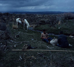 Sheepherders tending to a bleeding sheep