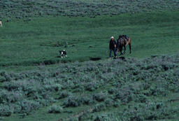 Rancher and Horse