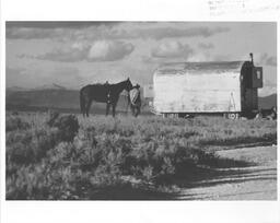 Sheepherder with horse and covered wagon