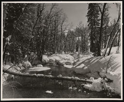 Yuba River near Cisco