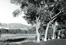 S Bar S Ranch, Wadsworth, Nevada