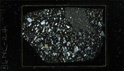 Thin section 56NC24, hornblende, biotite latite vitrophyre (polarized)