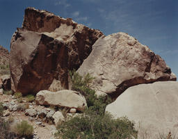 Rock with petroglyphs, from anthropomorphic shapes to shield-like barbells, Sandstone Bluff Wash, Clark County