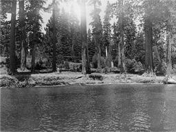 The Cedars (ca. 1916)