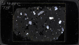 Thin section 54NC75, vitrophyre (polarized)