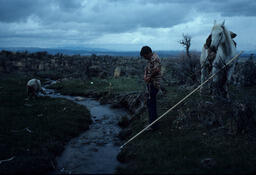 Sheepherder and Sheep by River