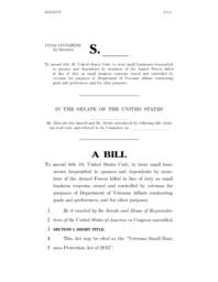 Veterans Small Business Protection Act