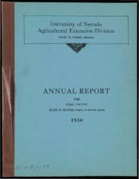 Annual Report for Elko County