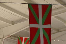 Basque flag